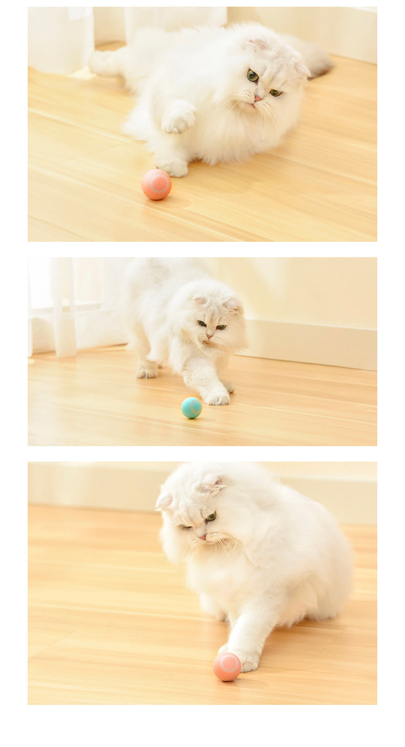 Play_Paww™ - Unleash Joyful Moments with Our Interactive Cat Toy Ball!