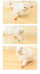 Play_Paww™ - Unleash Joyful Moments with Our Interactive Cat Toy Ball!